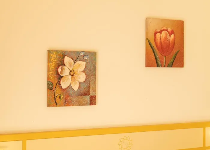 拜亚迪特拉尼缇酒店 酒店 维博瓦伦蒂亚