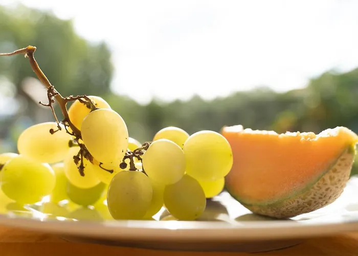 拜亚迪特拉尼缇酒店 3* 维博瓦伦蒂亚