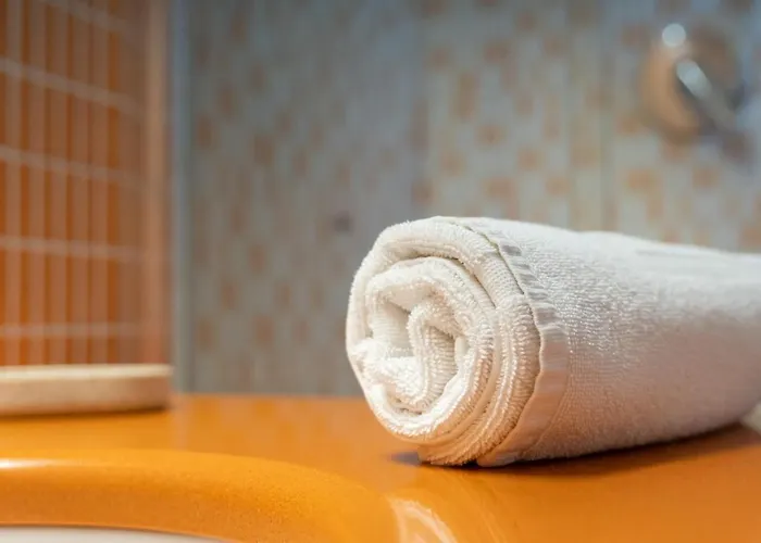 酒店 拜亚迪特拉尼缇酒店 维博瓦伦蒂亚