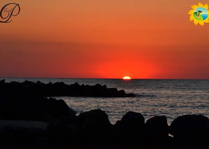 酒店 拜亚迪特拉尼缇酒店 维博瓦伦蒂亚
