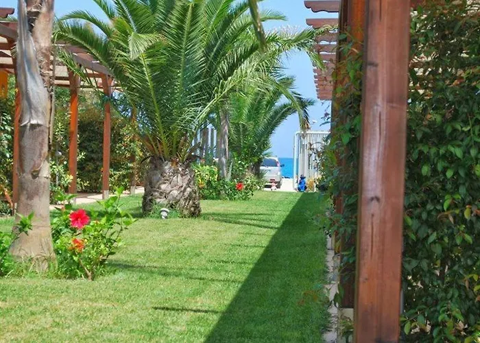 酒店 拜亚迪特拉尼缇酒店 维博瓦伦蒂亚