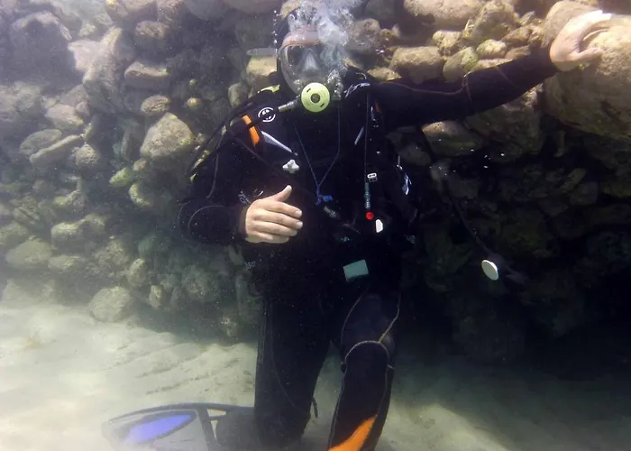 拜亚迪特拉尼缇酒店 维博瓦伦蒂亚